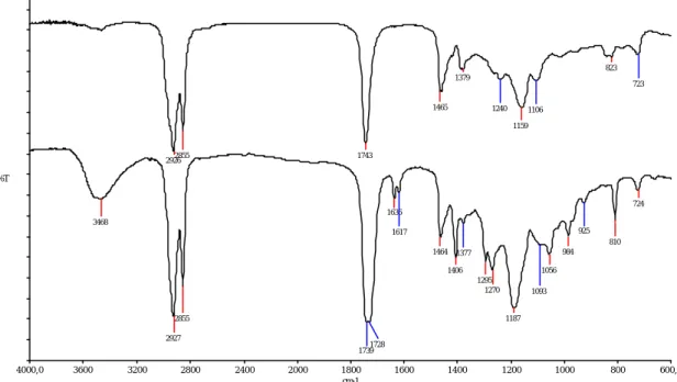 Figure IV.17 : Spectre FTIR de HSE-AA (rapport 10:1, 4h de réaction) entre deux faces NaCl