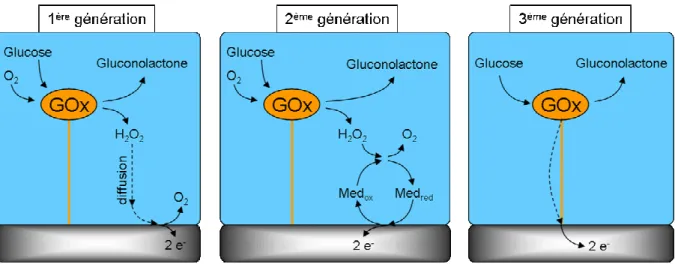 Figure  I-28 :  Première,  deuxième  et  troisième  générations  de  biocapteurs  ampérométriques  enzymatiques avec pour exemple l’immobilisation de la glucose oxydase (GOx)