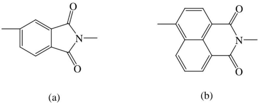 Figure 10 : Cycle imide phtalique (a), Cycle imide naphtalénique (b) 