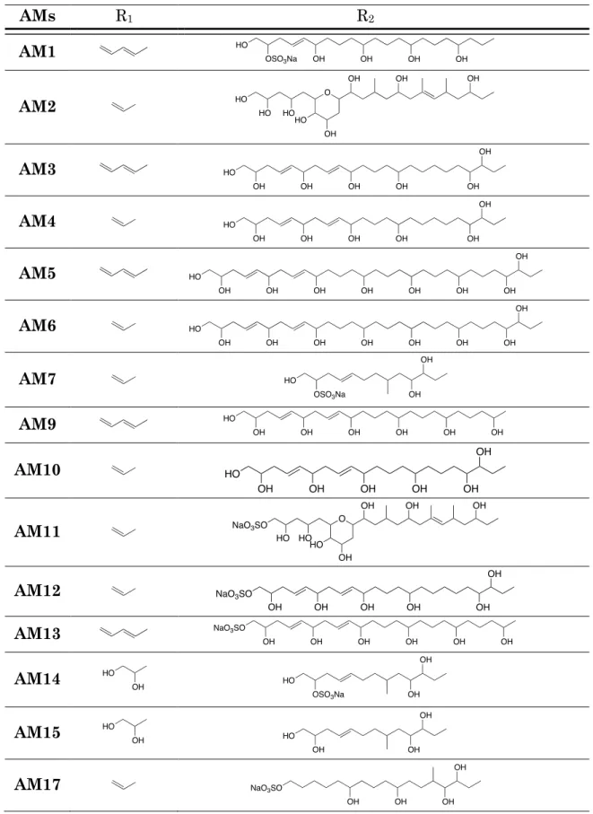 Tableau 2 : Structure développée de tous les AMs 