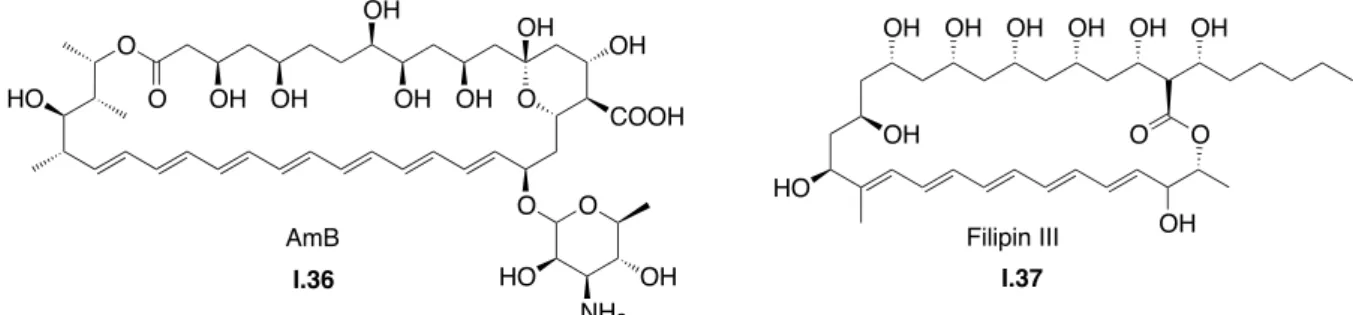 Tableau 3 : Activités antifongiques des AMs, de l’AmB et de la philipin III ;  a concentration minimale  efficace