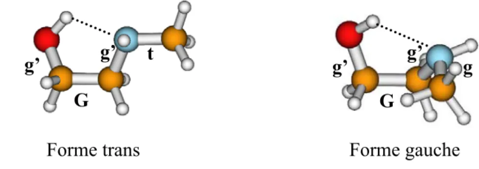 Fig. 3.14 – Formes “ferm´ ees” trans t-g’Gg’ et gauche g-g’Gg’ calcul´ ees les plus stables du 2-(N-m´ ethylamino)´ ethanol.