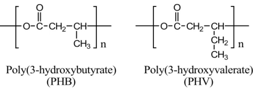 Figure I.7 : Formule du PHB et du PHV. 