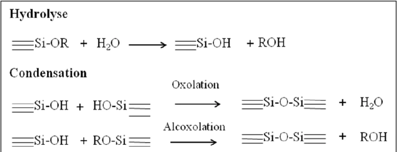 Figure 3.1: Réactions mises en jeu lors de la formation des particules de silice. 