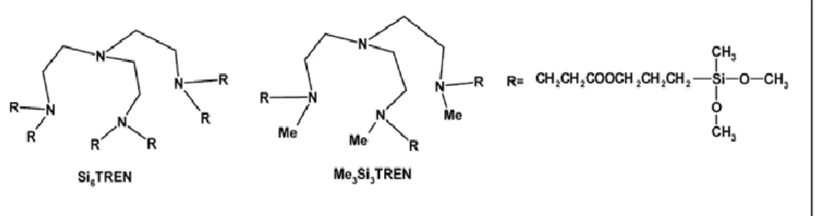 Figure 1.13: Structures des ligands Si 6 TREN et Me 3 Si 3 TREN. 