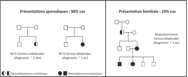Figure 2: Arbres familiaux représentatifs des différentes présentations de  rétinoblastome 