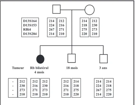 Figure  8 :  Exemple  d’étude  indirecte  familiale  conduite  alors  qu’aucune  mutation RB1 n’a été identifiée
