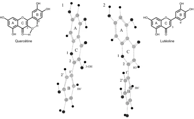 Figure 10 Structure 3D du flavonol quercétine (1) et de la flavone lutéoline (2) après optimisation  avec GAMESS (extrait de la réf.[53])