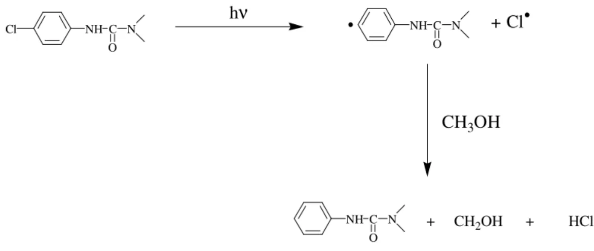 Figure 1.6 :  Schéma  de  réaction  de  déhalogénation/réduction  du  monuron  en  solution  méthanolique et en absence d’hydrogène [120]