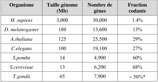 Tableau 1 : Comparaison du nombre de gènes par génome.  