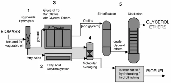 Figure 1-19: Utilisation du glycérol (sous produit issu de la transestérification) pour la production de  l