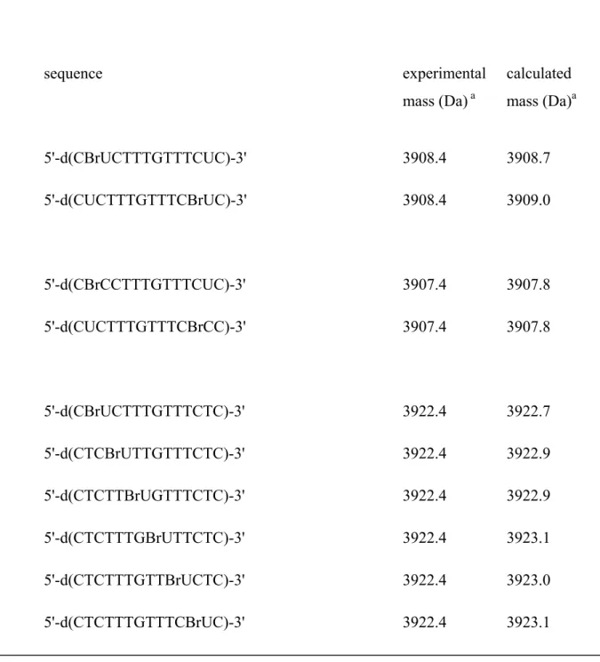 Table 1.  Series of 13-mer oligodeoxynucleotides studied. 