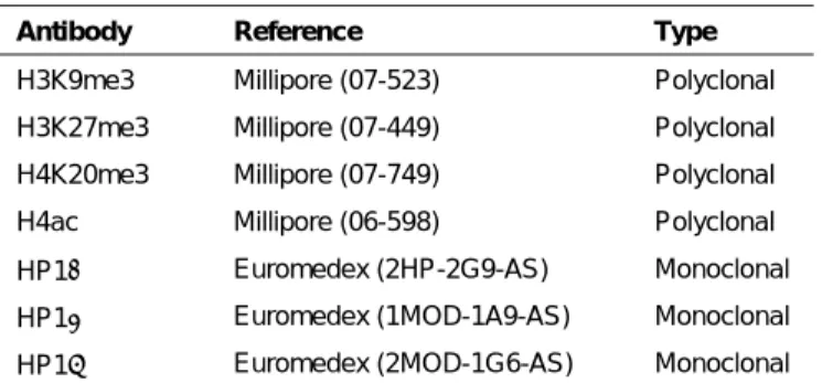 Table SI Antibodies used for ChIP analyses (see text for details). 