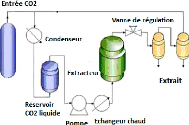 Figure I-2-5. Système d’extraction par fluide supercritique (EFS) (Wang and Weller, 2006)