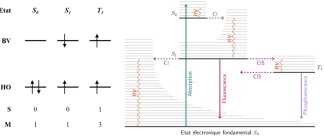 Figure 43 : A gauche, états électroniques et leur illustration. A droite, diagramme de Perrin-Jablonski