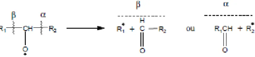 Figure I.3. Formation d’un époxyde à partir d’un radical alkoxyle (Schaich, 2005). 