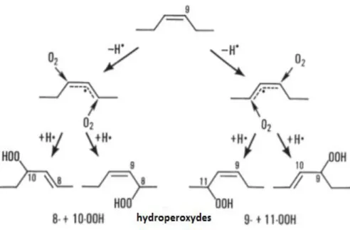 Figure I.11. Mécanisme de formation des 8-, 9-, 10- et 11- monohydroperoxydes à partir de  l’acide oléique (Frankel, 2005e)