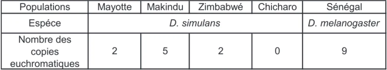 Tableau 2. Variation des nombres de copies euchromatiques de l’élément tirant dans les populations  naturelles