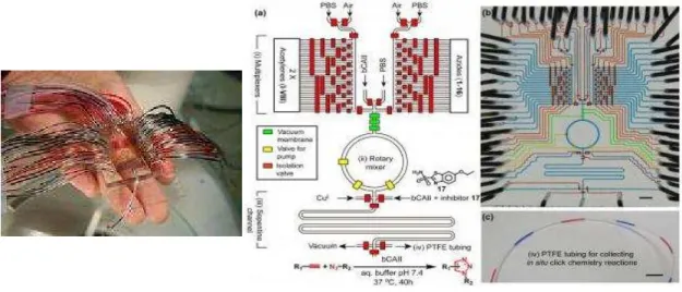 Figure 4.1. Dispositif microfluidique d’un laboratoire sur puce : photo et design. 203