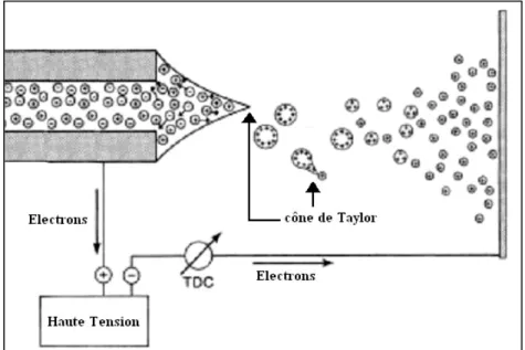 Figure 1.5. Formation de cône de Taylor lors du procédé électrospray. 