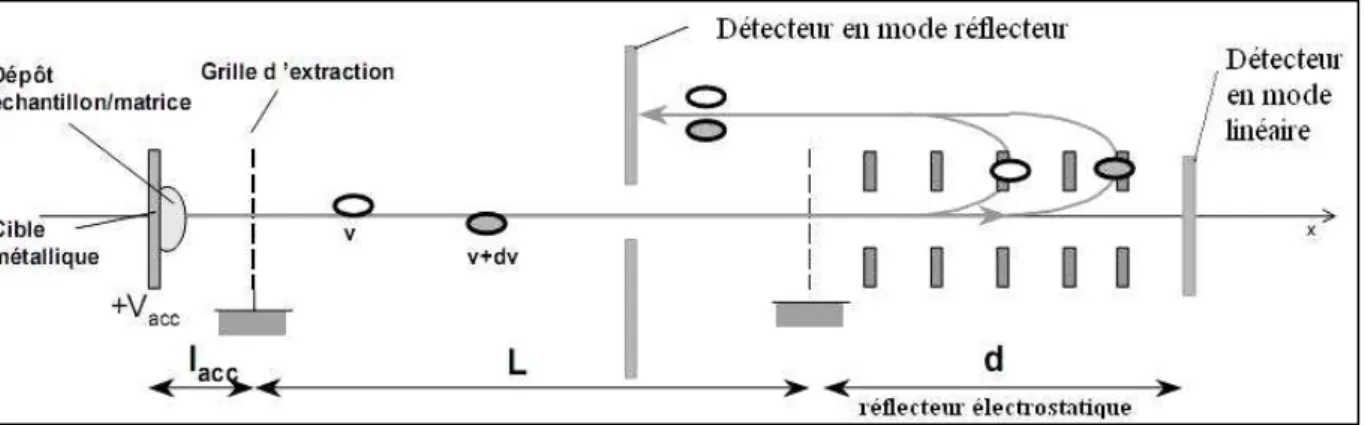 Figure 1.14. Schéma de principe du réflecteur électrostatique du MALDI-TOF. 