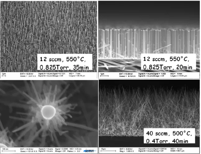 Figure  2.2.  Images  de  microscopie  à  balayage  électronique  (MEB)  de  nanofils  de  silicium  synthétisés par VLS au laboratoire IEMN