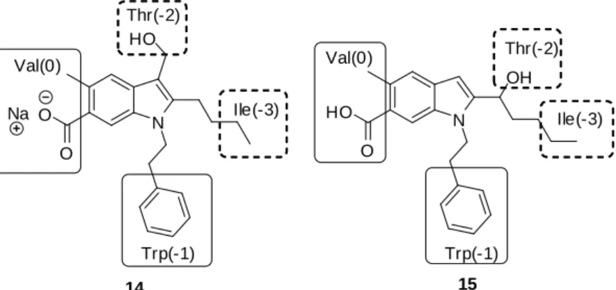 Figure 25 : Mise en évidence des parties de la molécule mimant le ligand endogène de MAGI3 