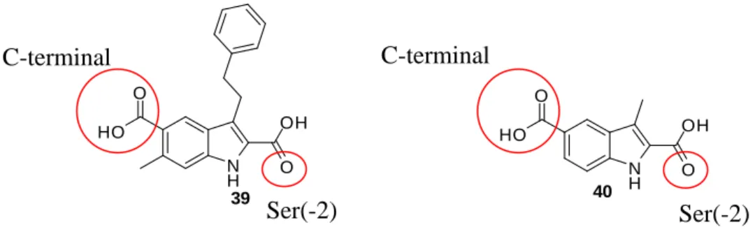 Figure 50 : Indole 39 de Fujii et coll. mimant les interactions du ligand naturel et son analogue simplifié 40 