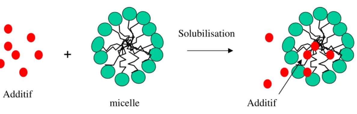 Figure I. 8 : Différents lieux de solubilisation micellaire 