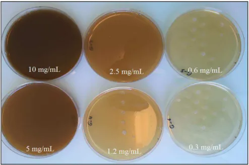 Figure 64 : Activité antimicrobienne de Salvia mirzayanii contre les 36 micro-organismes  pour  les six concentrations