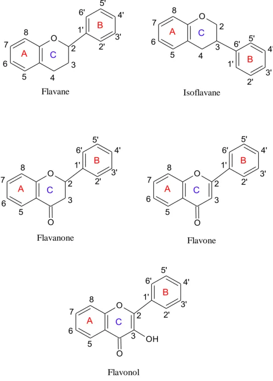 Figure 12 : Structures des différentes classes de flavonoïdes. 