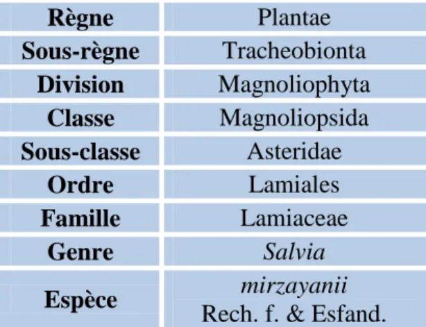 Tableau 5 : Classification botanique de Salvia mirzayanii Rech. f. & Esfand. 