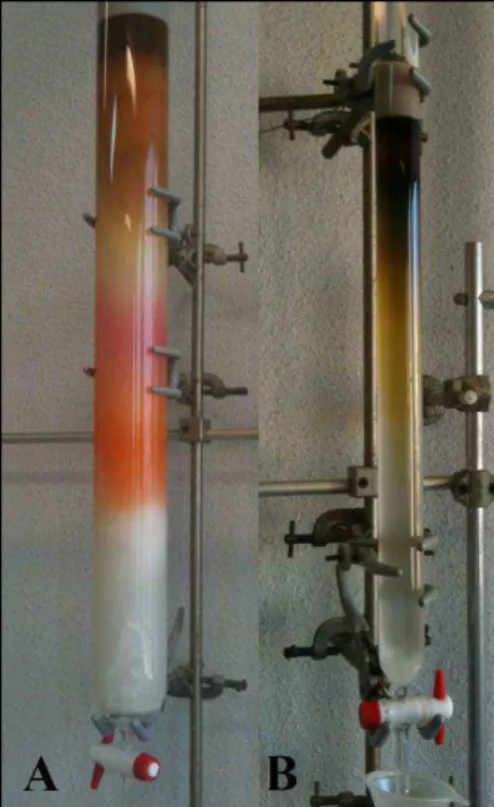 Figure 39 : Chromatographie en phase liquide (CPL),  A  –  de Sephadex® LH-20, B  –  de silice
