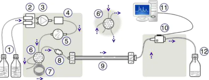 Figure 41 : Schéma principal de la chromatographie en phase liquide à haute performance*