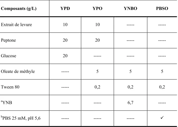 Tableau 3. Composition des milieux de culture utilisés pour modifier la paroi cellulaire  de Yarrowia lipolytica