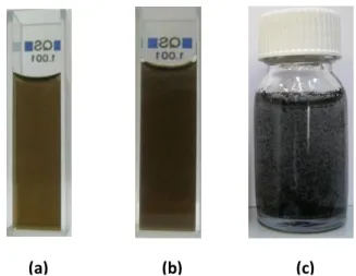 Figure  III.1:  (a)  Solution  colloïdale  d’oxyde  de  graphène  dans  l’eau  distillée  (0,25  mg/ml),  (b)  solution  colloïdale  d’oxyde  graphène  dans  le  DMF  (0,25  mg/ml)  et  (c)  une  image du graphène dans l’eau distillée après la réduction ch