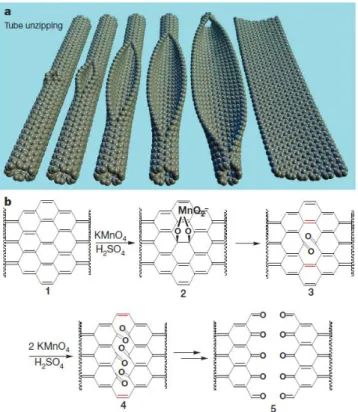 Figure  I.4 :  (a)  Représentation  de  la  décompression  progressive  d'une  paroi  d'un  nanotube  de  carbone  pour  former  un  graphène  nanoruban  et  (b)  le  mécanisme  chimique  proposé pour la décompression du nanotube [36] 