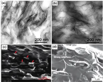 Figure I.19 : Images du TEM obtenus pour des nanocomposites de polyuréthane avec les  nanofeuillets  de  graphène  thermiquement  réduit  (a,  b)      [119]