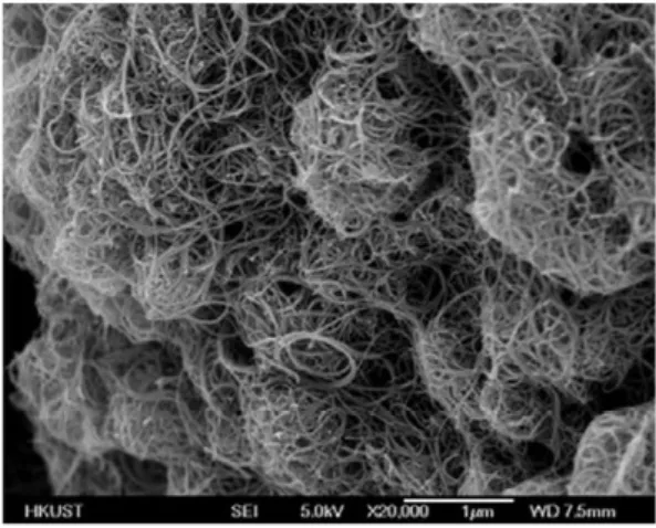 Figure I.26: Image du MEB montrant des agrégats des nanotubes de carbone [167] 