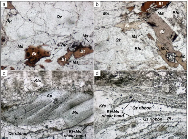 Fig. 3. Photomicrographs showing the typical structures of the Lizio granite samples, from undeformed (a and b) to mylonitized (c and d)
