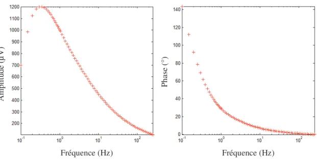 Figure IV-9 Evolution de l’amplitude et la phase du signal mesuré sur le carbone vitreux à basse  fréquence (0,1 Hz - 250 Hz)