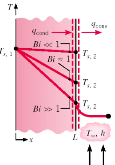 FIGURE  II.1-  Evolution  de  température  dans  un  solide  en  contact  avec  un  écoulement  fluide  en  fonction  du  nombre  de  Biot