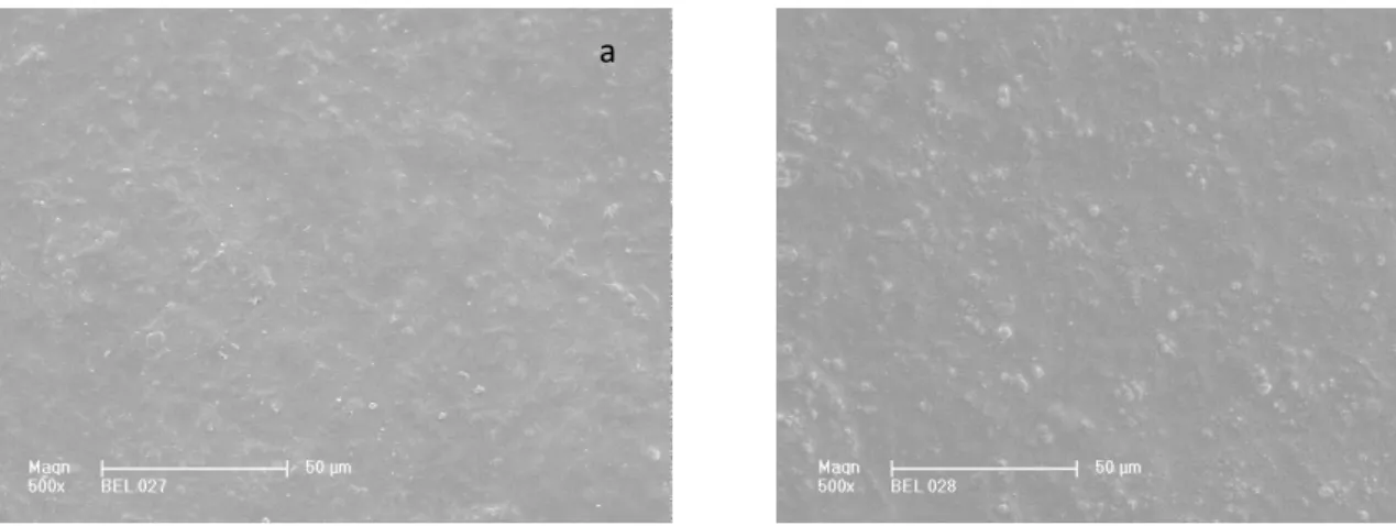 Figure 3-16 : Clichés MEB de la surface des films (a) AMB-2 et (b) AMB-4 