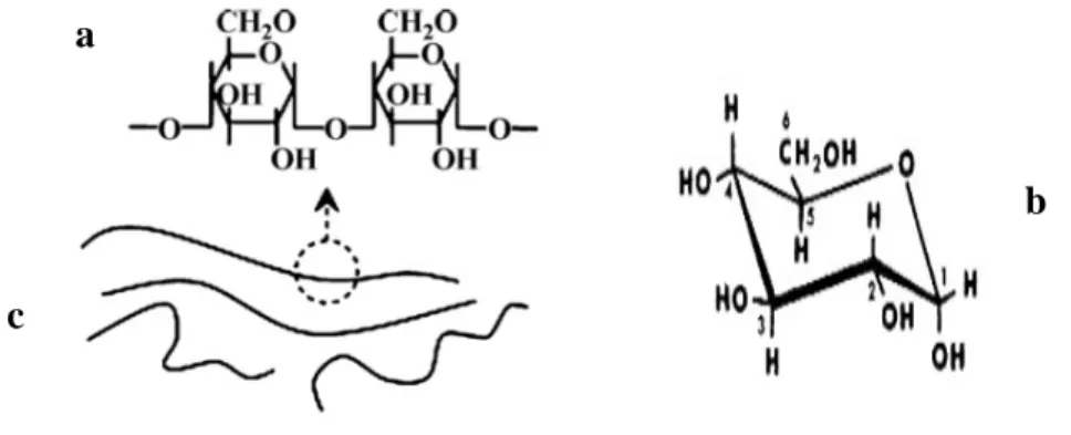Figure  1-1 :  Structures  chimiques  de :  (a)  l’amylose,  (b)  D-glucopyranose.  Représentation  schématique  de  l’amylose (c) (Liu et al., 2009)