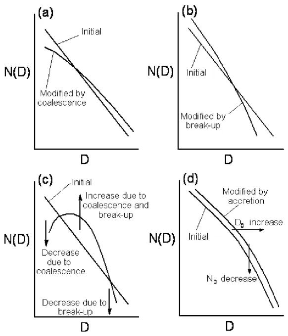 Figure 1.4: Schematic diagrams illustrating the effects on the raindrop size distribution 1