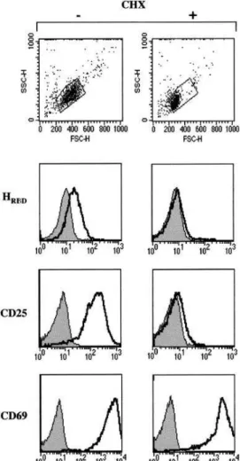 Figure 4. Expression of the HTLV receptor on TCR-stimulated lymphocytes requires de novo protein synthesis