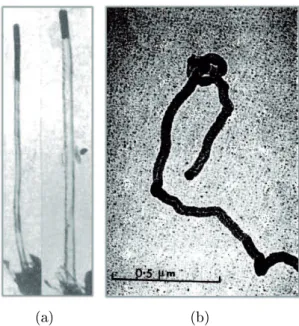 Figure 1.1  a) Image par microscopie électronique en transmission d'une &#34;bre tubulaire carbonée&#34; observée par Radushkevich et al
