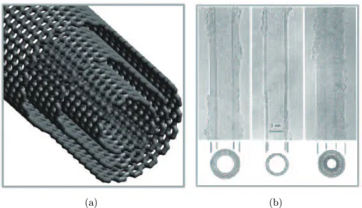 Figure 1.6  a) Représentation schématique d'un nanotube de carbone multifeuillet (MWNT)