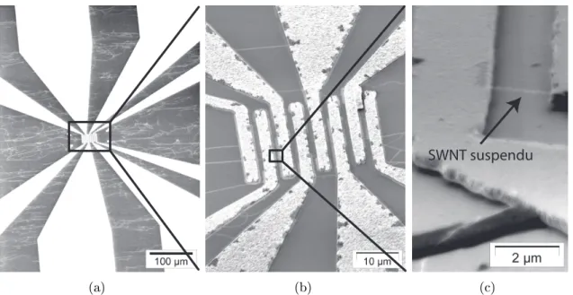 Figure 1.10  Images MEB de croissances de nanotubes monofeuillets par voie CVD sur des substrats lithographiés