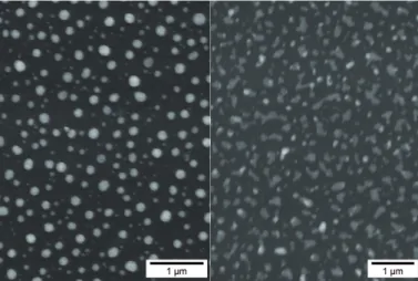 Figure 1.18  Visualisation par microscopie à balayage des îlots de Ni obtenus à des températures de 750°C (gauche) et 800°C (droite) après réduction sous H 2 